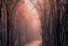 Colombia: The Dolar's Pulse and Its Next Great Leap