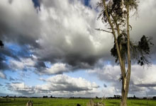 Zcash: The Price Outlook and Network Developments