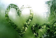 Zcash: The Price Outlook and Network Developments