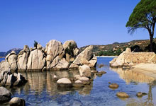 Avelo Airlines: The Vision Behind Their Routes and What Travelers Are Truly Saying