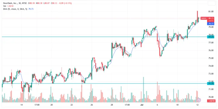 DoorDash Stock Plummets: What Happened and What This Means for the Future